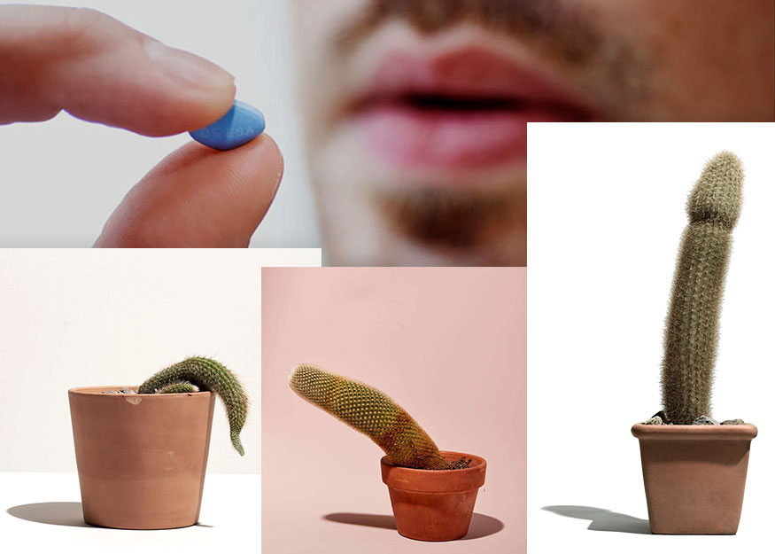 medicaments pour erection